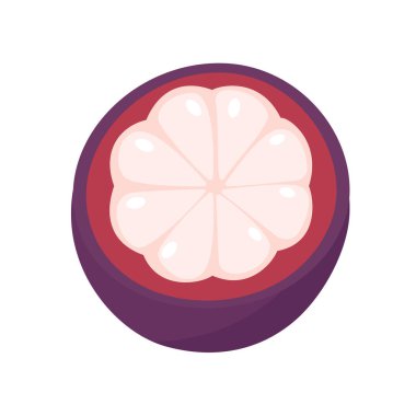 mor mangosteen tatlı tropikal meyve