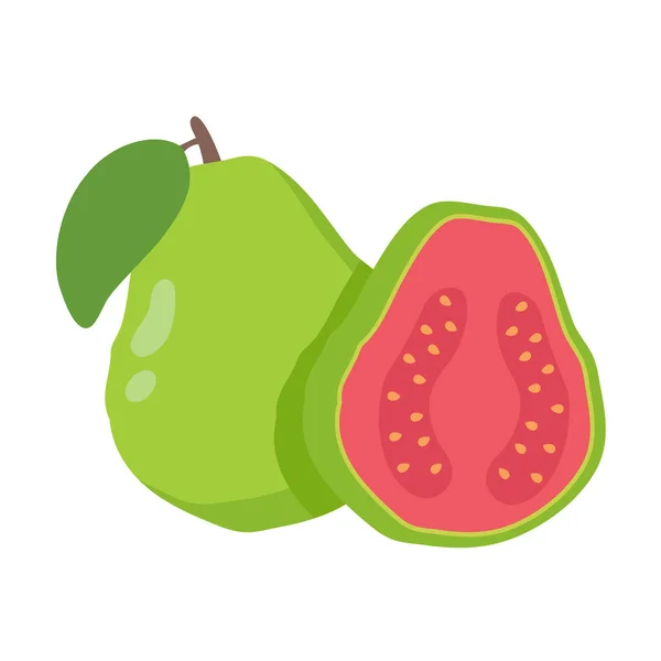 Zöld Guava Édes Gyümölcs Magas Vitaminnal Vegetáriánusok Egészségére — Stock Vector