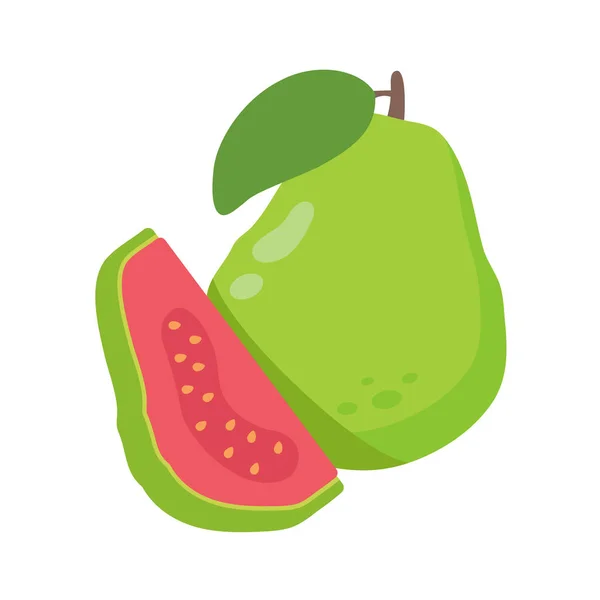 Green Guava Sweet Fruit High Vitamin Health Vegetarians — Stock Vector