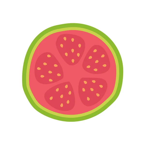Vejetaryenler Için Yüksek Vitamini Içeren Yeşil Guava Meyvesi — Stok Vektör