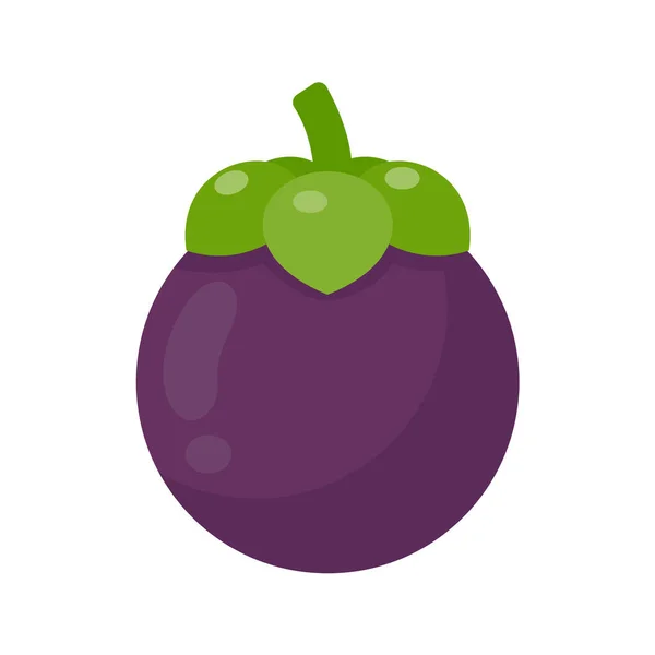 Mangostán Púrpura Fruta Tropical Dulce — Vector de stock