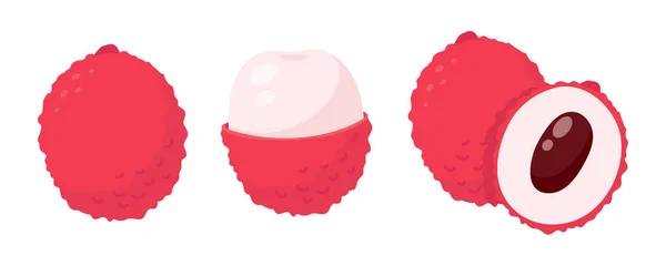 素食主义者的红荔枝健康甜水果 — 图库矢量图片