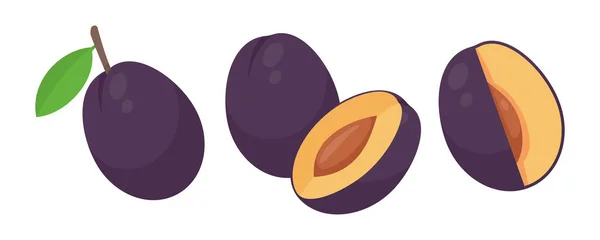 Paarse Pruimen Vezelrijk Fruit Help Het Spijsverteringsstelsel Gezonde Vruchten Voor — Stockvector