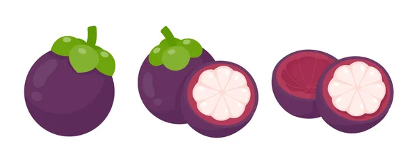 Mangostán Púrpura Fruta Tropical Dulce — Vector de stock