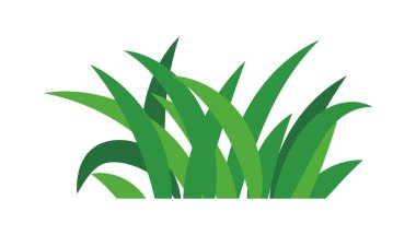 natural green grass bushes decorate environmental ecology cartoon scene