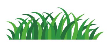 natural green grass bushes decorate environmental ecology cartoon scene