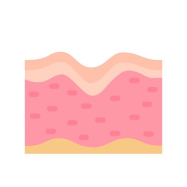 human skin layer Caring for protecting the skin from the sun with a skin serum.