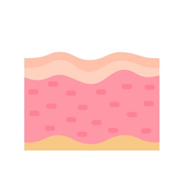 human skin layer Caring for protecting the skin from the sun with a skin serum.