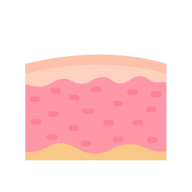 human skin layer Caring for protecting the skin from the sun with a skin serum.