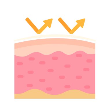 human skin layer Caring for protecting the skin from the sun with a skin serum.