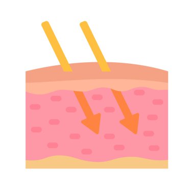 human skin layer Caring for protecting the skin from the sun with a skin serum.