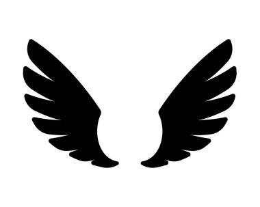 Cennetteki melek kanatları Şahin tüyü kanat deseni