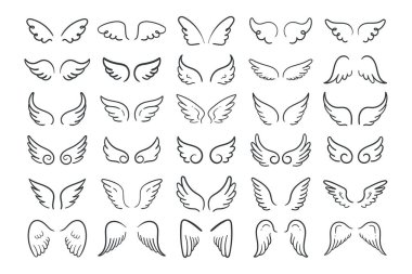 Cennetteki melek kanatları Şahin tüyü kanat deseni