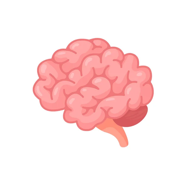 Human Brain Jagged Concept Developing Learning Creativity Skills — Stock Vector