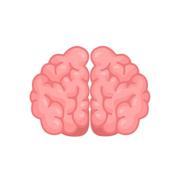 Ανθρώπινος Εγκέφαλος Είναι Οδοντωτός Έννοια Της Ανάπτυξης Δεξιοτήτων Μάθησης Και — Διανυσματικό Αρχείο