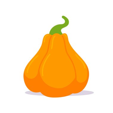 Balkabağı karikatürü Cadılar Bayramı parti terörleriyle yüzleşmek için.