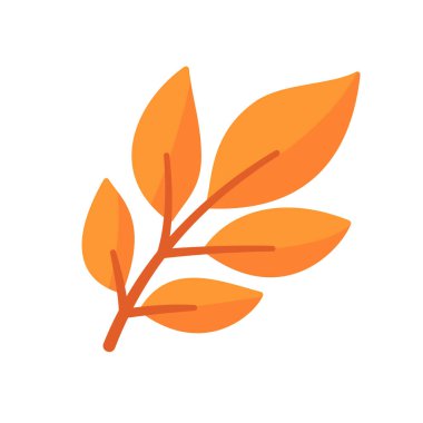 Güzel yaprak kompozisyonu. Yapraklar sonbaharda renk değiştirir