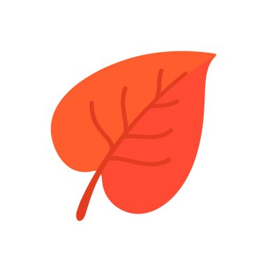 Güzel yaprak kompozisyonu. Yapraklar sonbaharda renk değiştirir