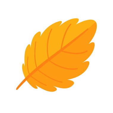 Güzel yaprak kompozisyonu. Yapraklar sonbaharda renk değiştirir