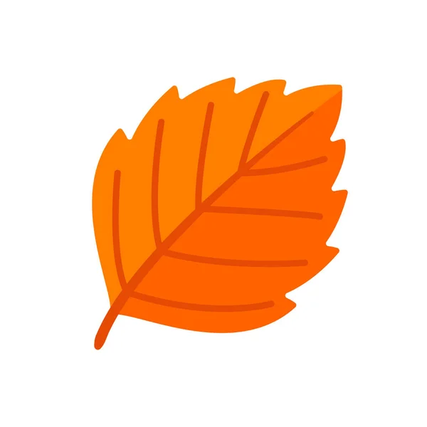Schöne Blattkomposition Blätter Verfärben Sich Herbst — Stockvektor