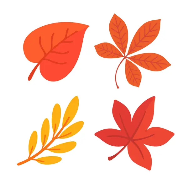 美丽的叶子组成 秋天树叶会变色 — 图库矢量图片