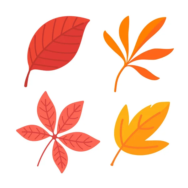 Beautiful Leaf Composition Leaves Change Color Autumn — Stock Vector
