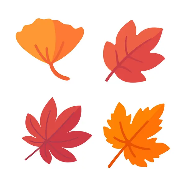 Beautiful Leaf Composition Leaves Change Color Autumn — Stock Vector