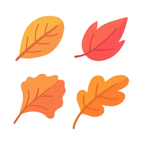 Красивая Листовая Композиция Листья Осенью Меняют Цвет — стоковый вектор