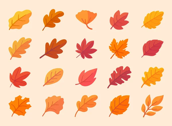 Podzimní Kolekce Listů Oranžové Listy Javoru Podzimním Jednoduchém Designu — Stockový vektor