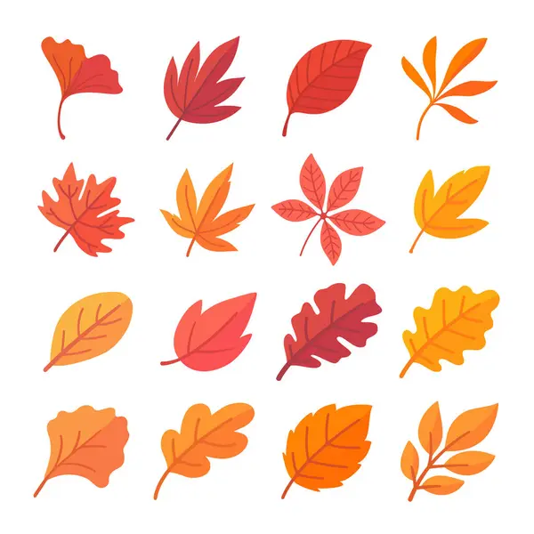 Осенняя Коллекция Листьев Апельсина Листья Клена Осенью Простой Дизайн — стоковый вектор