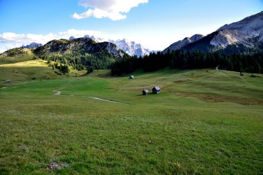 Prato Piazza Platosu 'nda 2000 metre yükseklikte otlak alanları var.