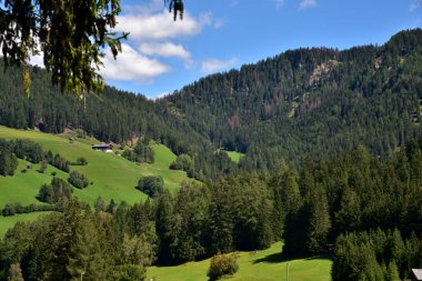 Braies Vadisi 'nin köşe başında kozalaklı ağaçlar var.