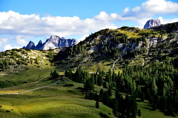 Partially Fenced Pastures Prato Piazza Plateau Background Some Peaks Cristallo — Stock Photo, Image