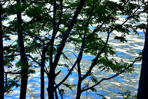 Lichtfleckige Wellen Auf Dem Wasser Des Pragser Sees — Stockfoto