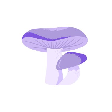 Klitocybe nuda mantarı. Yenilebilir mantar. Beyaz arkaplanda doku izole edilmiş vektör çizgi film çizimi.