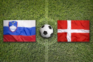 Slovenya ve Danimarka yeşil futbol sahasında bayrak sallıyor