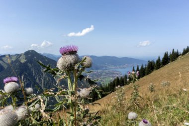 Tegernsee Gölü, Bodenschneid dağı turu, Bavyera, Almanya, ilkbahar zamanı
