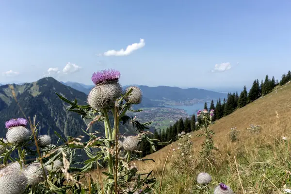 stock image Tegernsee lake,  Bodenschneid mountain tour, Bavaria, Germany,  in springtime