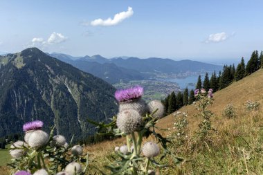 Tegernsee Gölü, Bodenschneid dağı turu, Bavyera, Almanya, ilkbahar zamanı