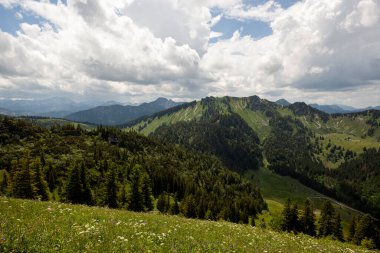 Mountain hiking at Brecherspitze mountain in summertime, Bavaria, Germany clipart