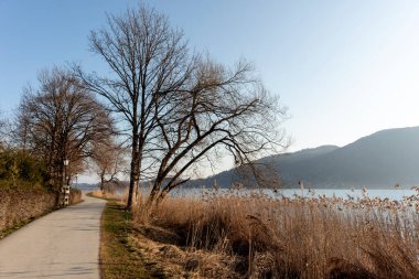 Bahar zamanı Almanya 'da Tegernsee Gölü, Bavyera' da dairesel yürüyüş parkuru