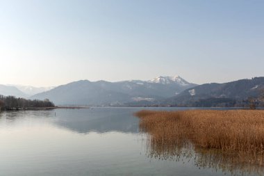 Circular hiking trail lake Tegernsee, Bavaria, Germany, in springtime clipart