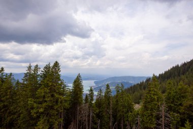 Yazın Wallberg dağından Tegernsee Gölü, Bavyera, Almanya 'ya manzara