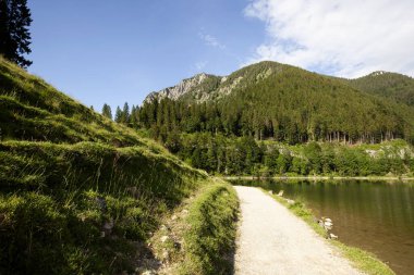 Yazın Bavyera, Almanya 'da Spitzingsee Gölü