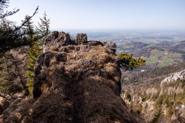 Bahar zamanı Heuberg dağı turu, Bavyera, Almanya