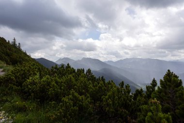 Brecherspitze dağında yaz mevsiminde dağ yürüyüşü, Bavyera, Almanya
