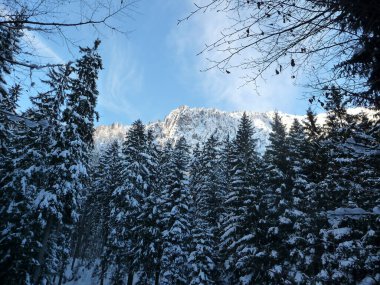 Mountain hiking at Brecherspitze mountain in wintertime, Bavaria, Germany clipart