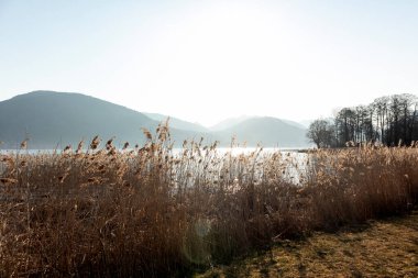 Bahar zamanı Almanya 'da Tegernsee Gölü, Bavyera' da dairesel yürüyüş parkuru