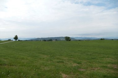 Hiking trail from Wessobrunn to Hohenpeissenberg, Munich Way of St. James, Bavaria, Germany in summertime clipart