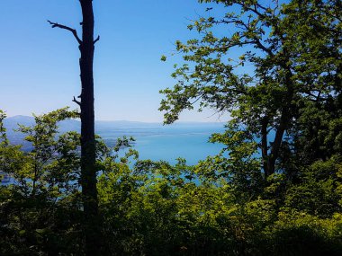Pfander dağından Bodensee Gölü 'ne panoramik manzara, Vorarlberg, Avusturya